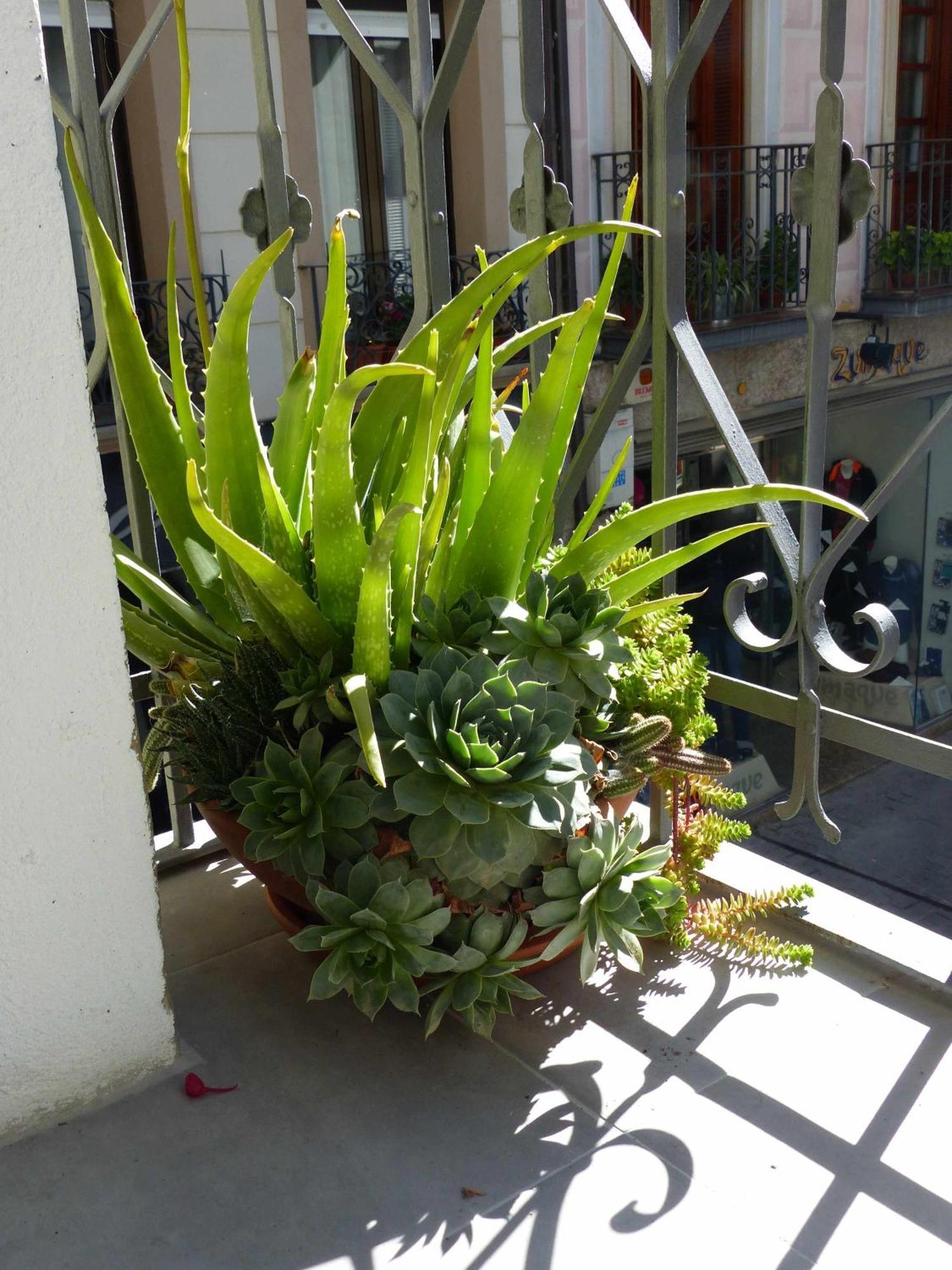 Apartamento Abside De San Juan I Estella Exterior photo